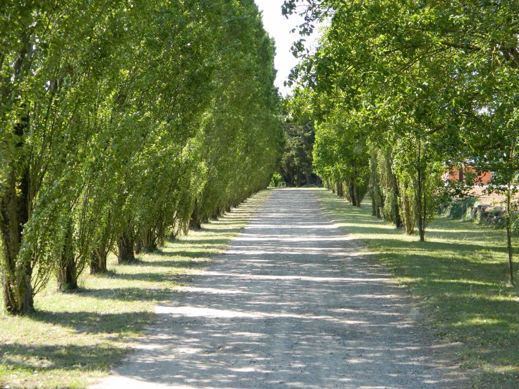 Gite De Cray Lussault-sur-Loire Exterior foto